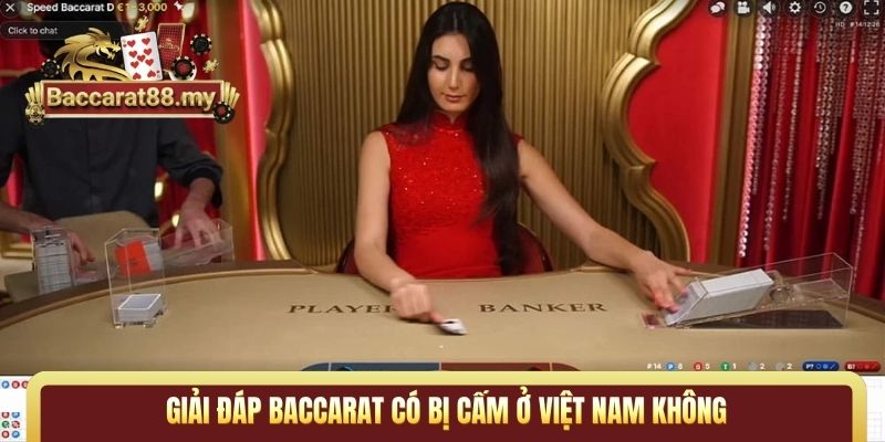 Giải đáp Baccarat có bị cấm ở Việt Nam không
