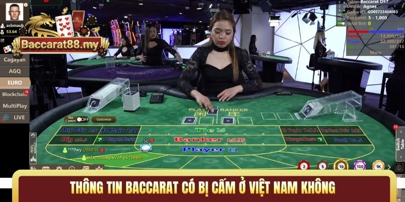 Thông tin Baccarat có bị cấm ở Việt Nam không 