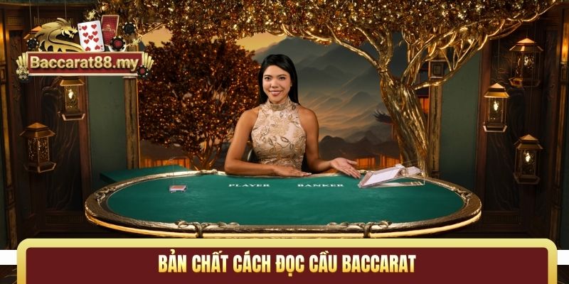 Bản chất cách đọc cầu Baccarat