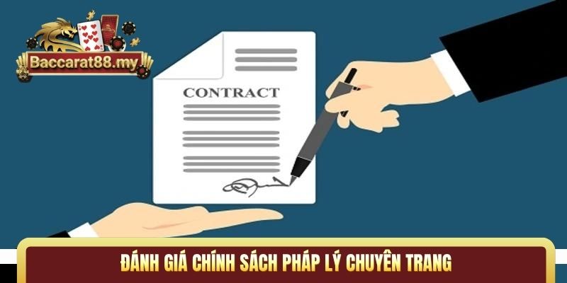 Đánh giá chính sách pháp lý chuyên trang